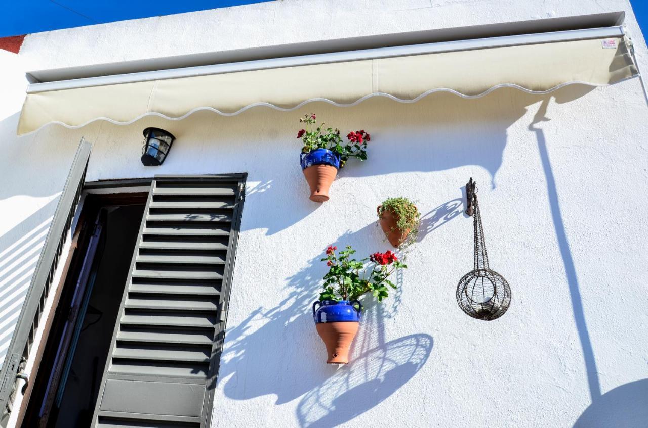 Alohamundi Campana Lägenhet Sevilla Exteriör bild